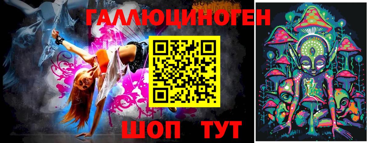 Абакан  Псилоцибиновые грибы Psilocybe  Псилоцибиновые грибы GOLDEN TEACHER  купить  сайты  Вход с VPN 